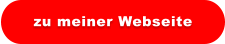 zu meiner Webseite
